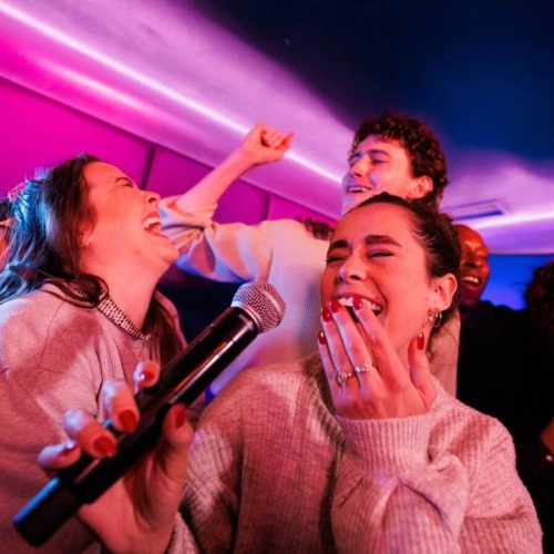 The Ultimate Guide to Enjoy Your First Karaoke
